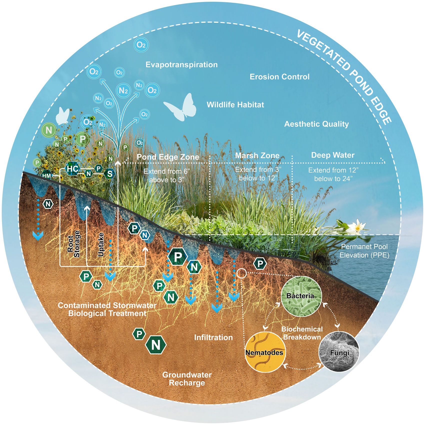 Ecologic Restoration diagram 1