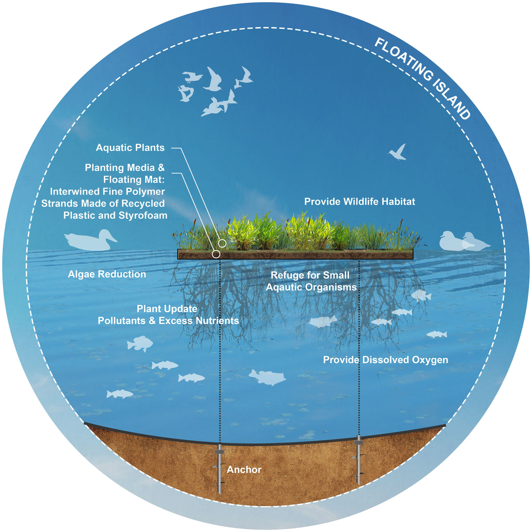 Ecologic Restoration diagram 3