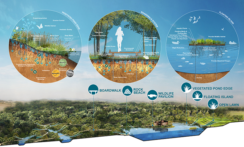 Ecologic Restoration